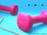 Swage Weights
