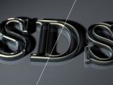 SDS01